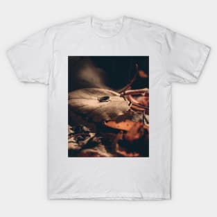 Autumn Leaves Fly T-Shirt